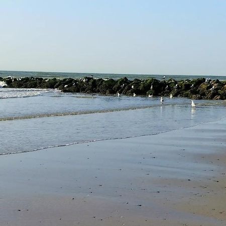 Sunny Bank Westende Zeezicht Middelkerke Exteriör bild
