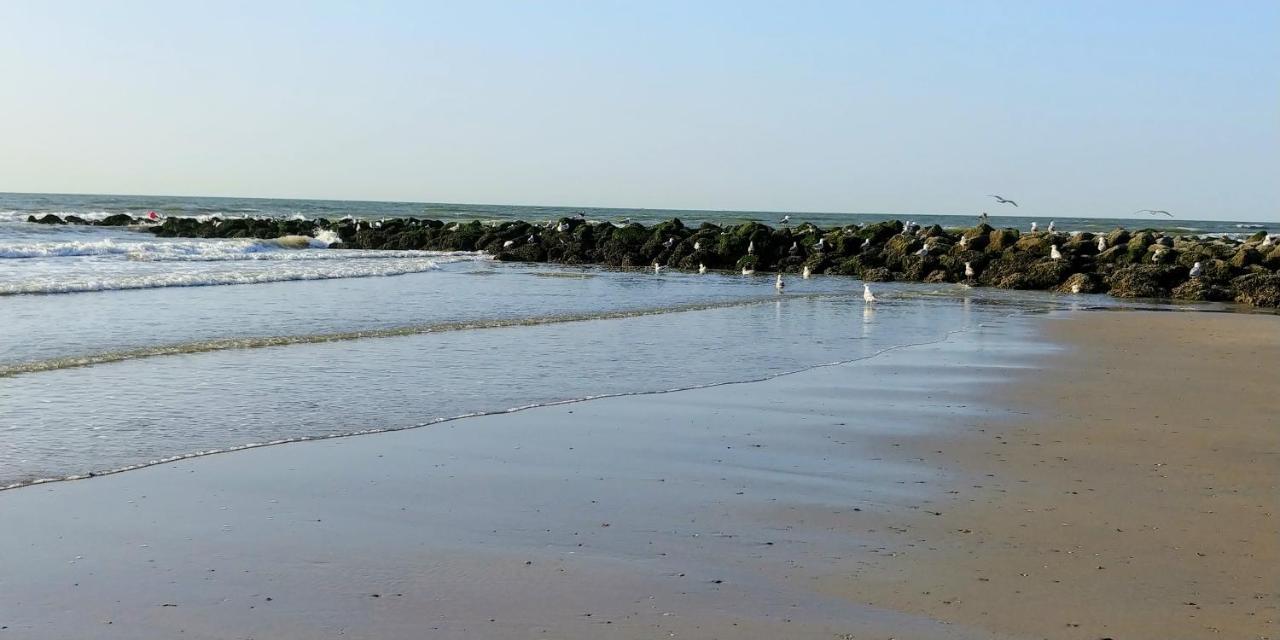 Sunny Bank Westende Zeezicht Middelkerke Exteriör bild